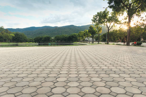 Best Driveway Pavers for Homes  in Savannah, TN